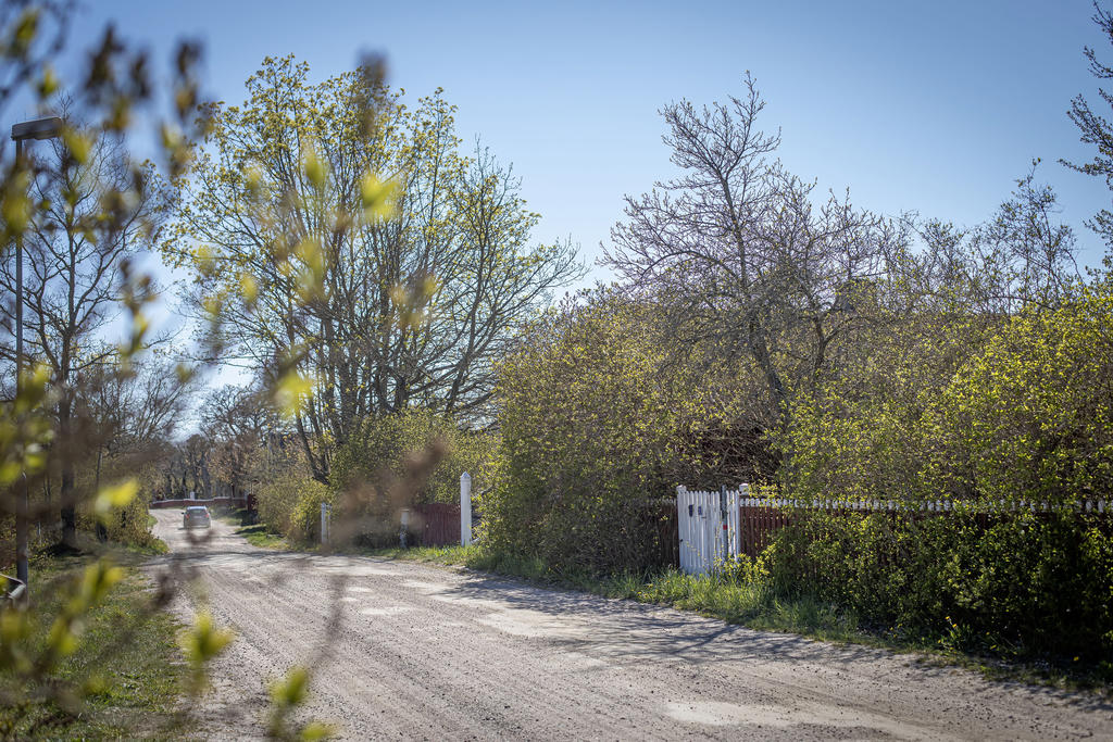 Lökenäs bygata