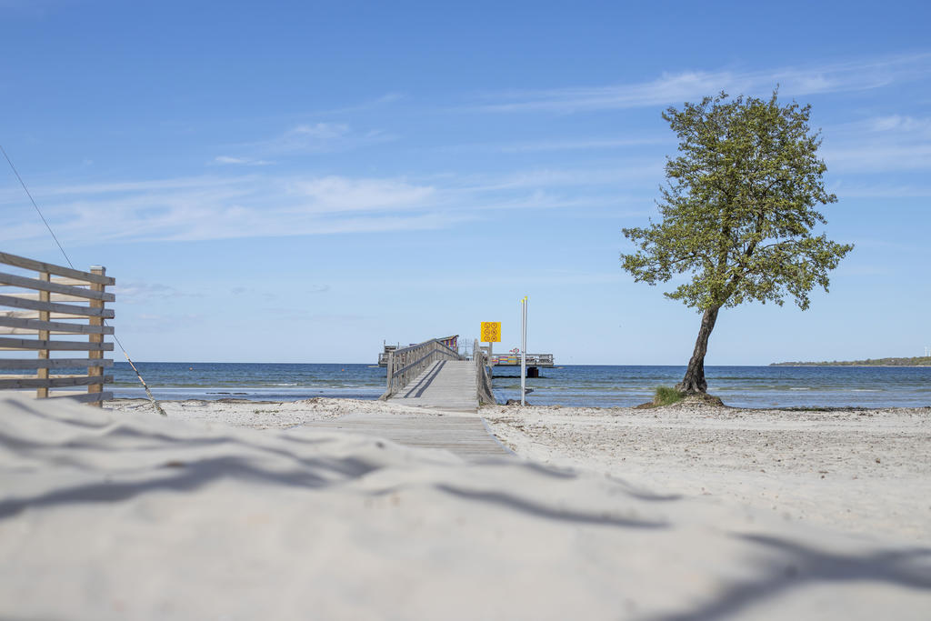 Vit finkornig sand, områdesbild.