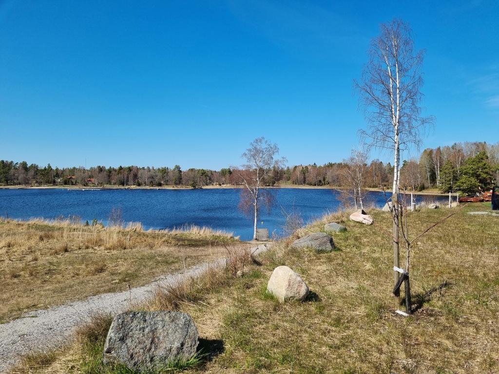En del av strandområdet