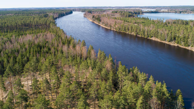 Klarälven som närmaste granne