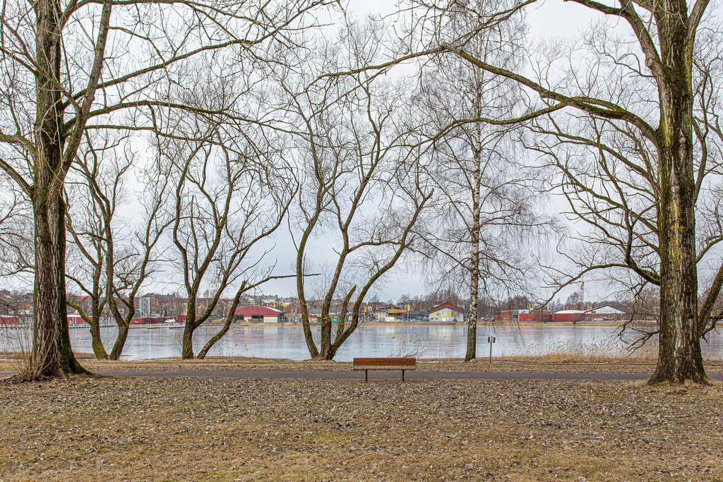 Lambergstjärnet
