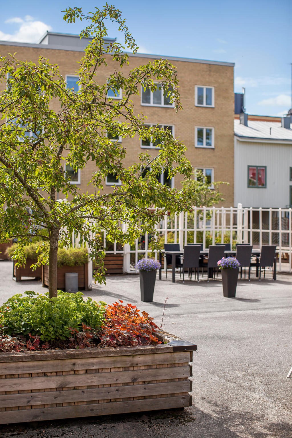 Föreningens innergård
