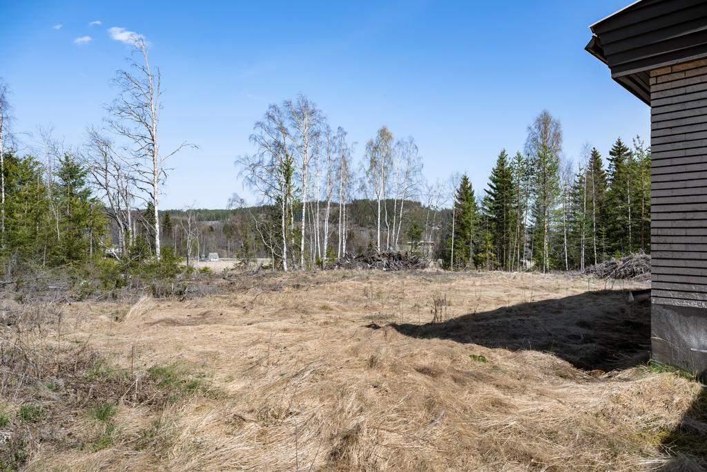 Stora ytor på baksidan av huset.