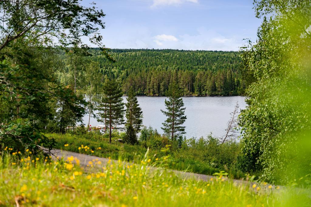 Utsikt från tomten