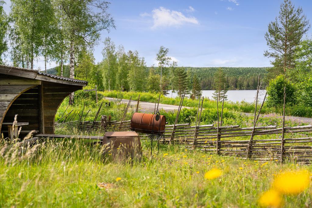 Utsikt från tomten