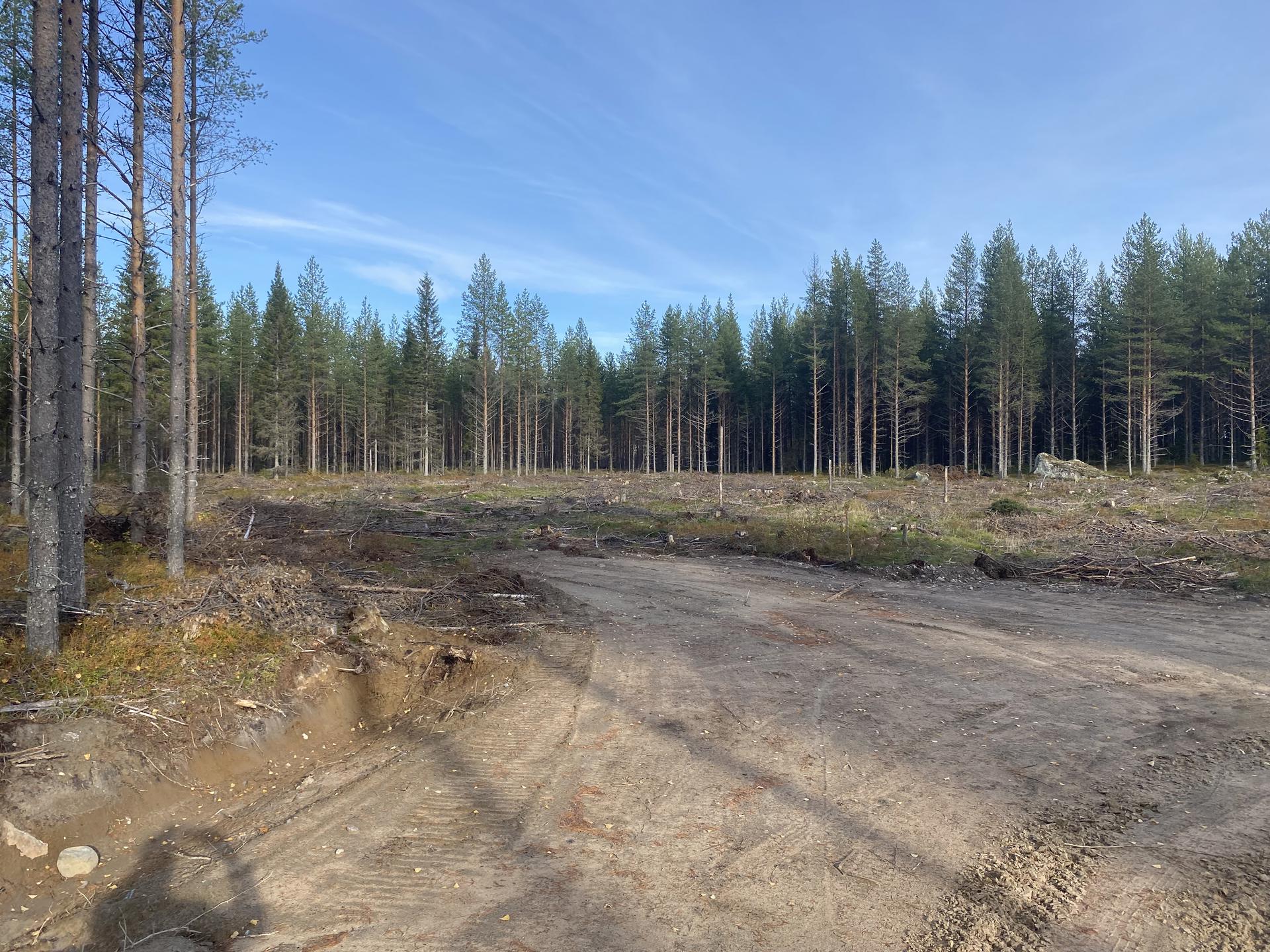 Luleå, Metkroksvägen 94