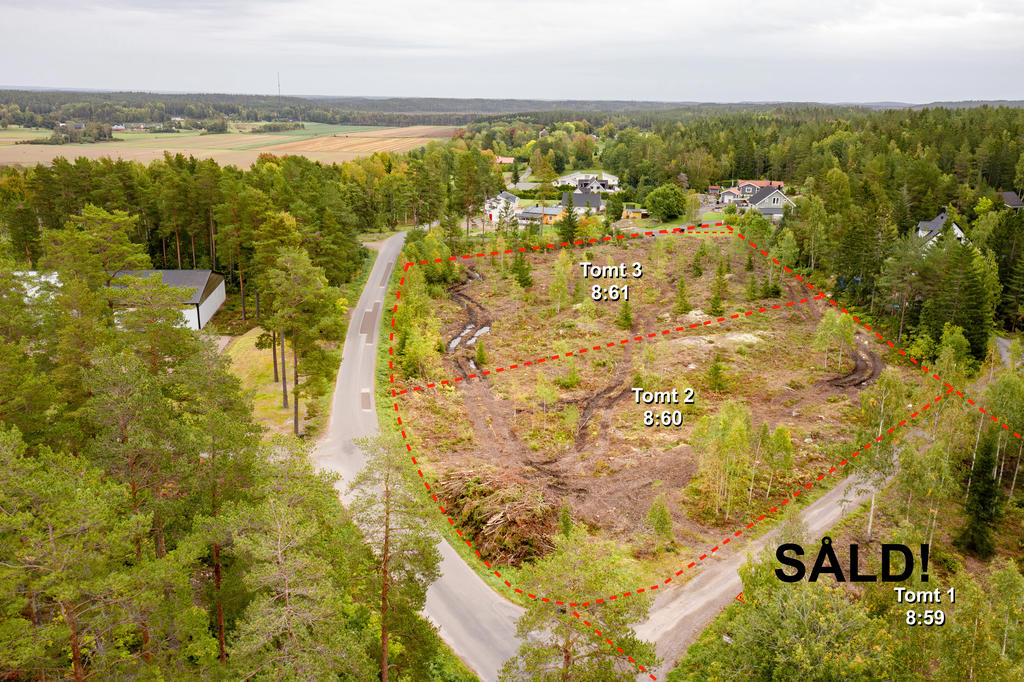 Tomt 1-3 färdiga gränser. Vy mot öster.