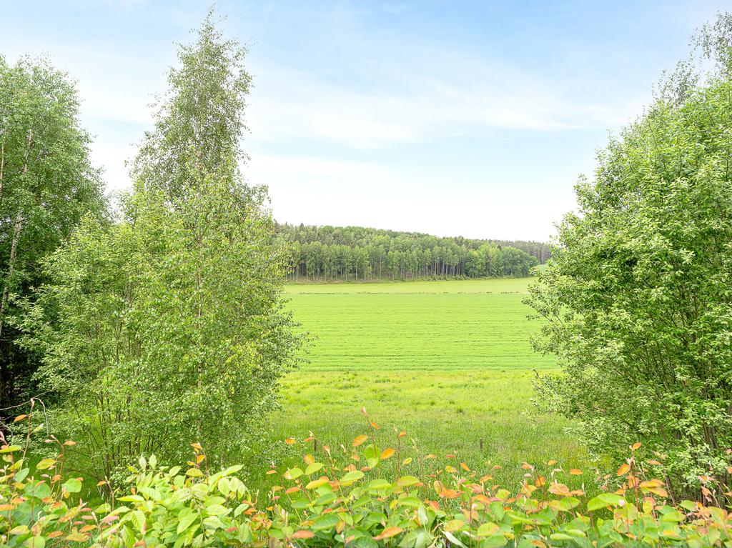 Sommarbild
