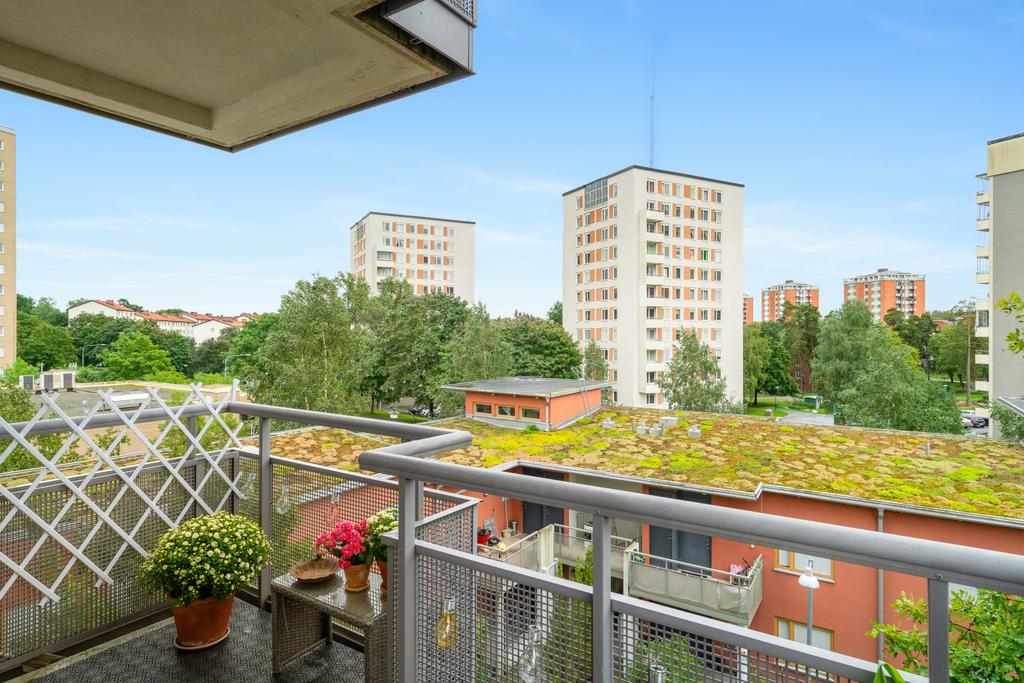 Utsikt över området