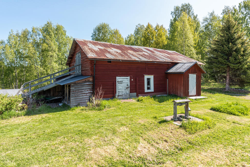 Fjös med gälle