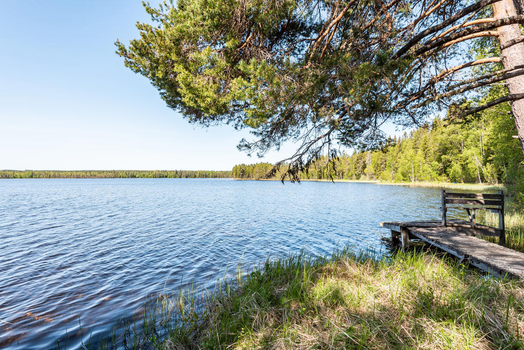 Nere vid sjön
(bryggan har fått stryk av isen)