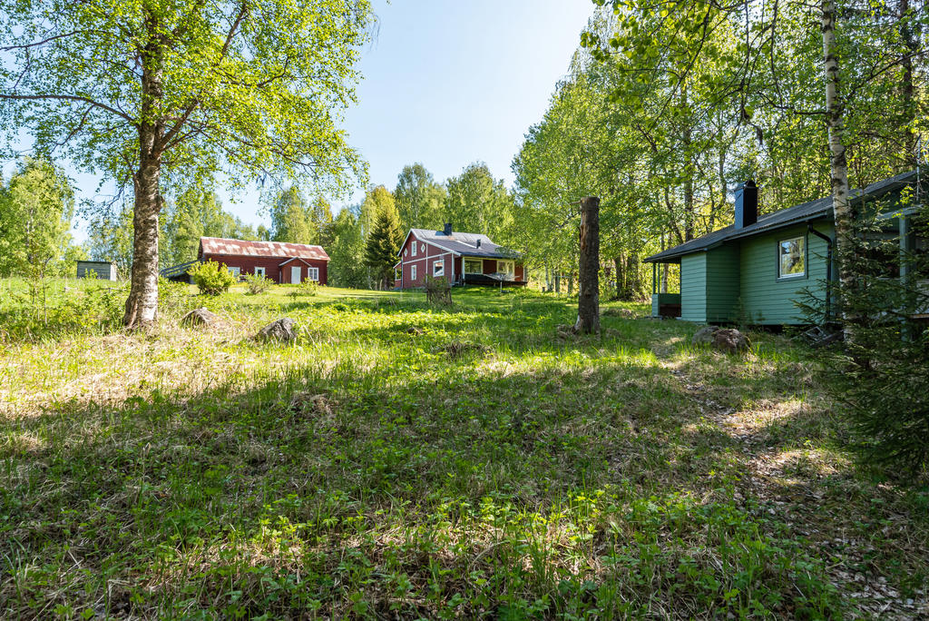 Stigen upp från sjön