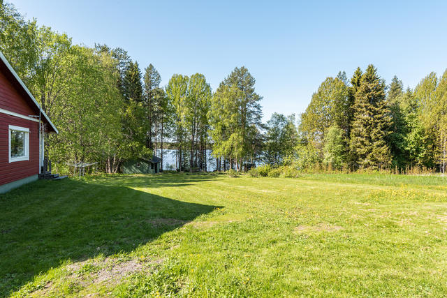Gräsmatta nästan ned till sjön