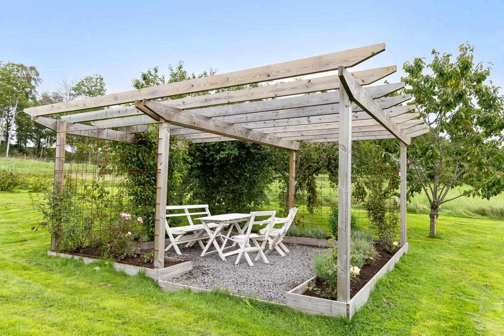 Mysig rosbeklädd pergola i trädgården. Här sitter man gärna med en kopp kaffe och njuter av rosornas ljuvliga doft!