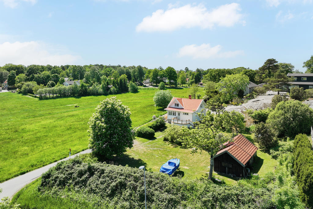 Vackra ängar i nära anslutning till tomten