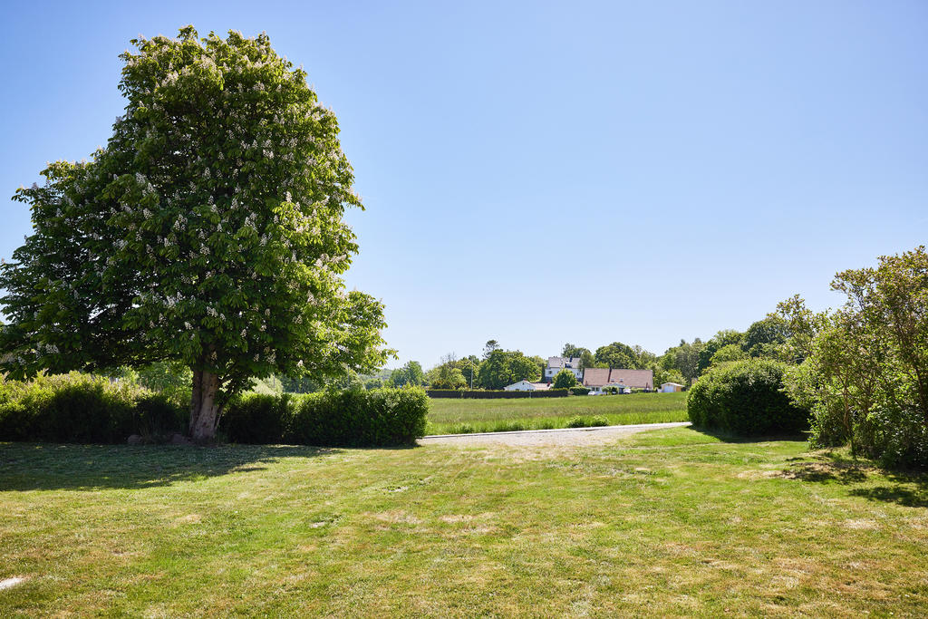 Vy åt söder och den pampiga kastanjen på Timmeråsvägen 3