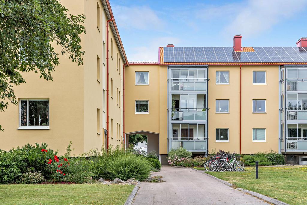 Välskött fin innergård 