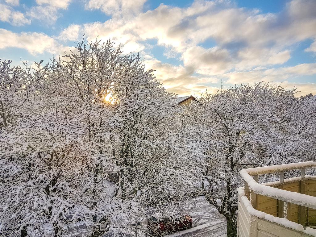 Säljarens bild