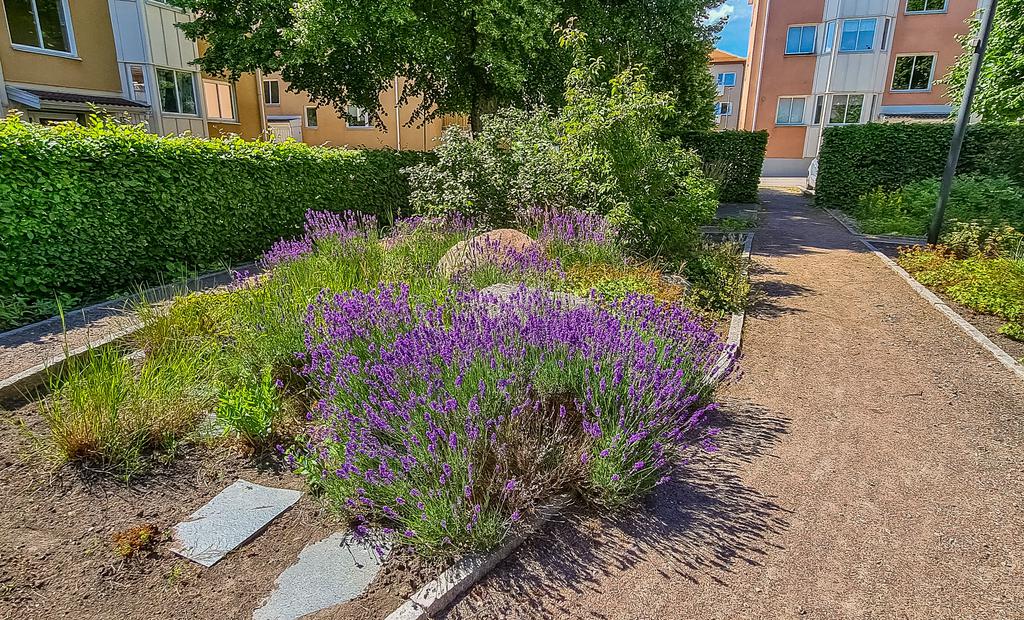 Säljarens bild