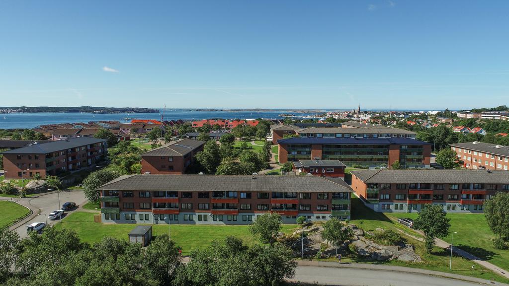 Drönarvy