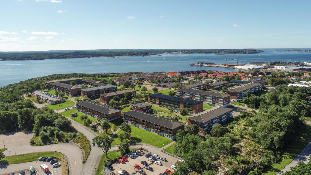 Drönarvy