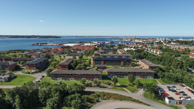 Drönarvy över Ekgatan