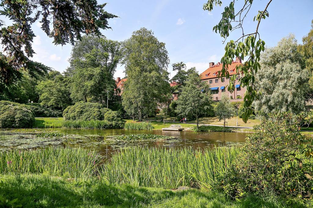 Näckrosdammen