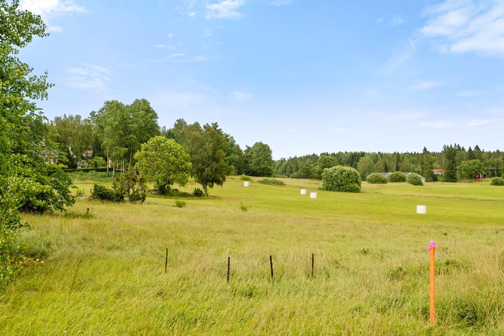 Gränsar till åkrar som bärgas