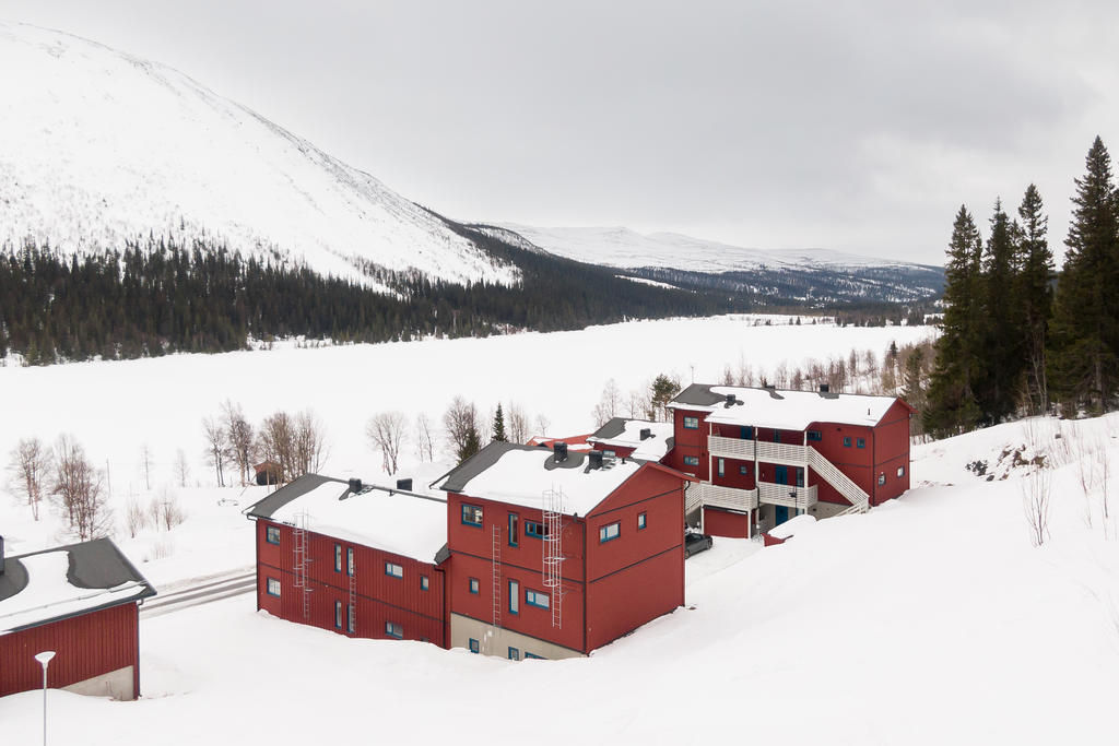 Naturen som närmsta granne.