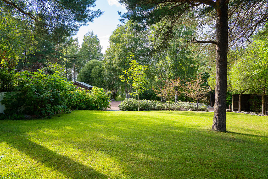 Utemiljö vid nedre gårdsplanen
Säljarens egna bild