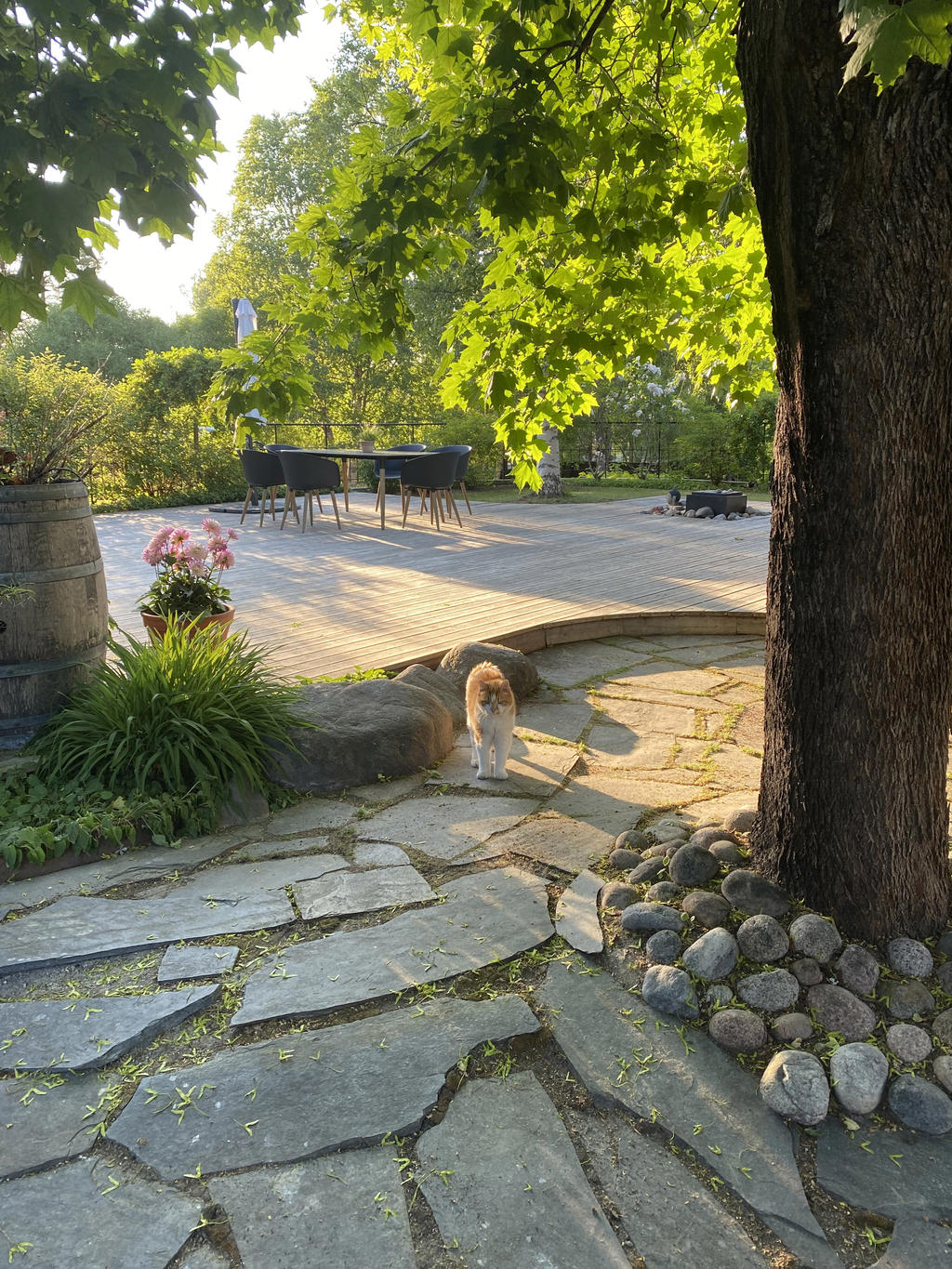 Övre gården
Säljarens egna bild