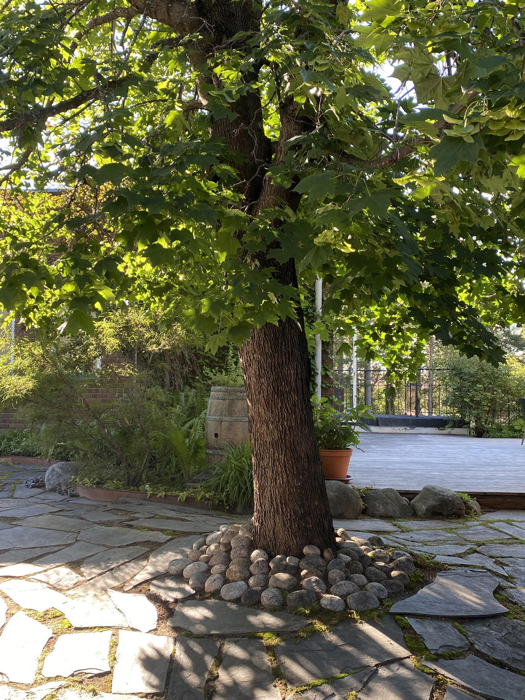 Övre gården 
Säljarens egna bild
