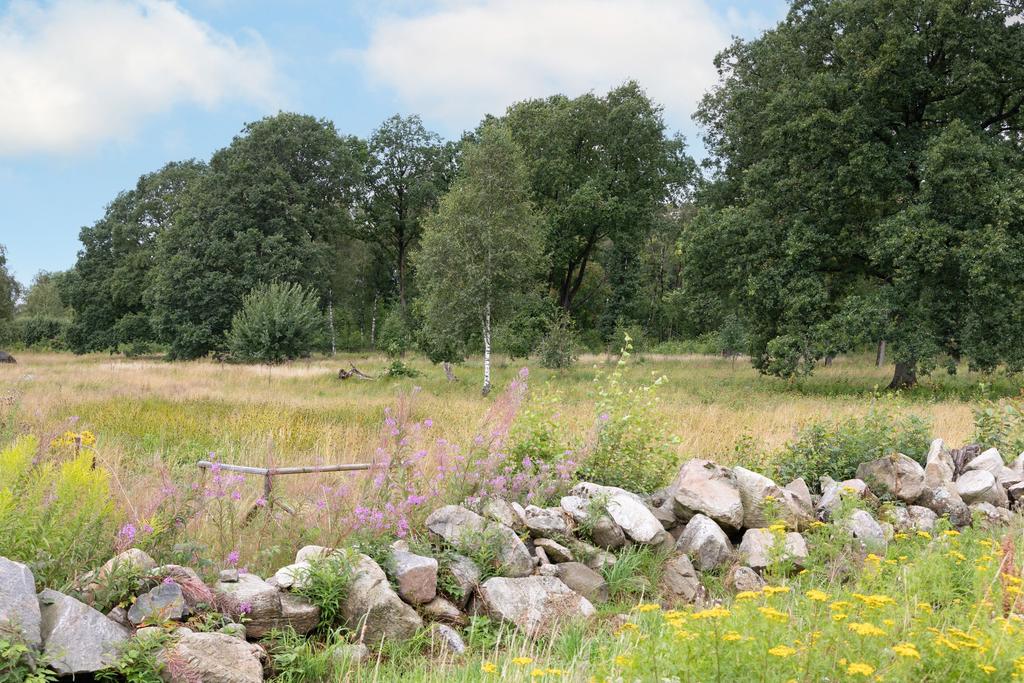 Ängar och skogsområden i anslutning till lägenheten