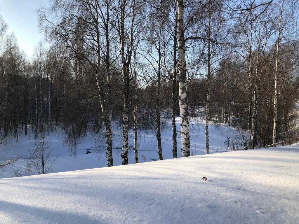Säljarens privata vinterbilder