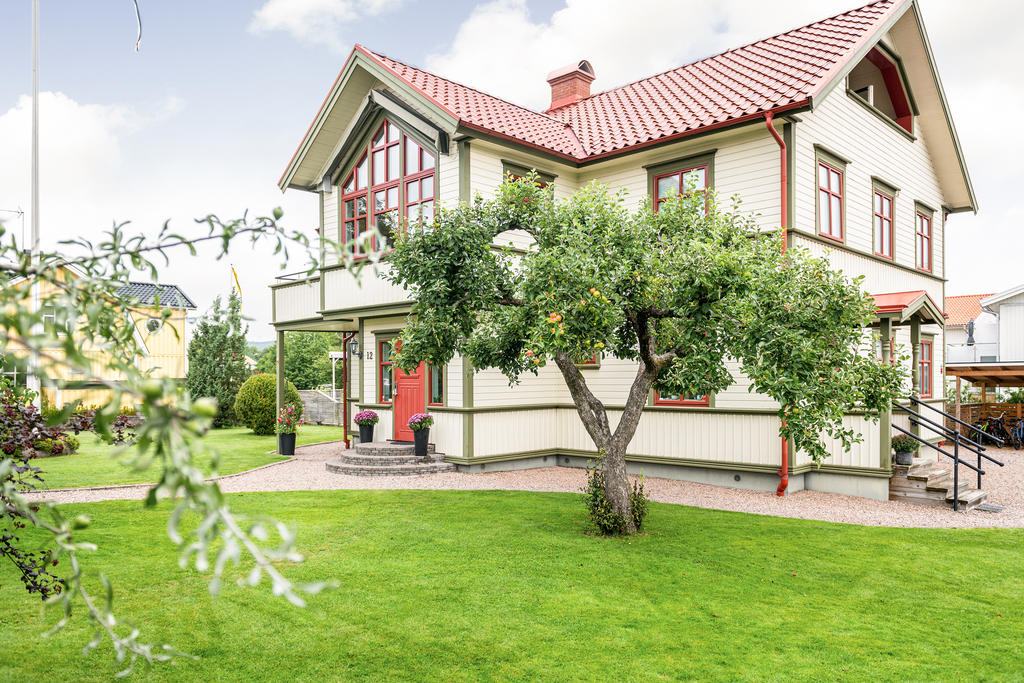 Uppvuxen tomt med fina frukträd