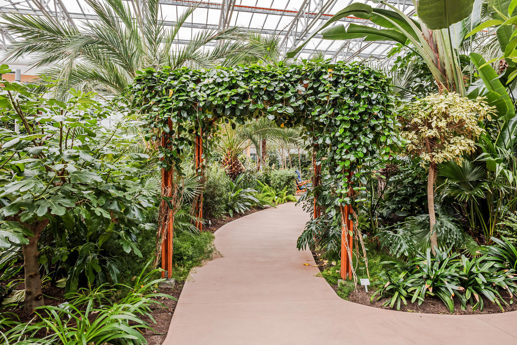 Vinterträdgården