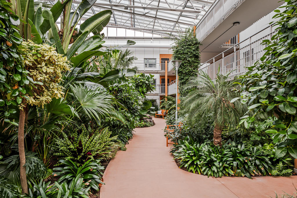 Vinterträdgården