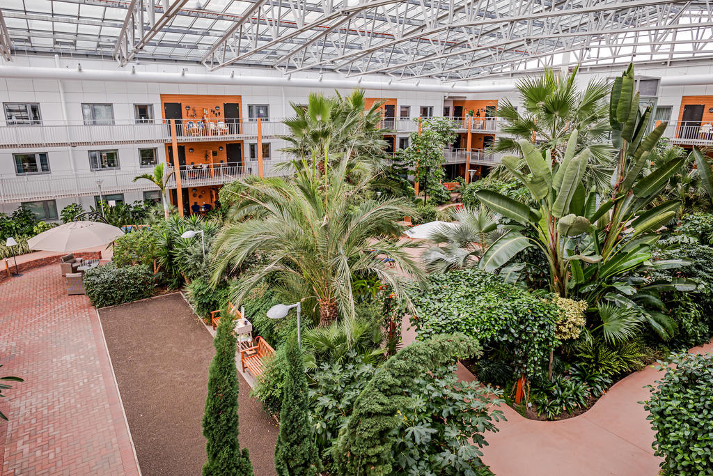 Vinterträdgården med boulebanan