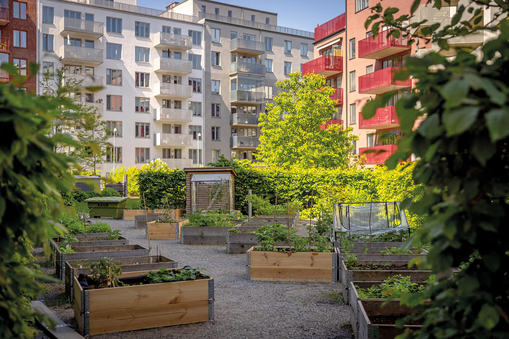 Föreningens odlingslotter