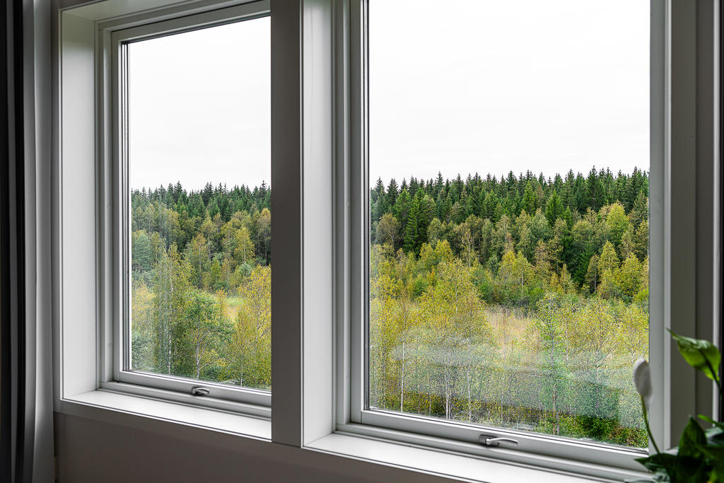 Utsikt från stora sovrummet