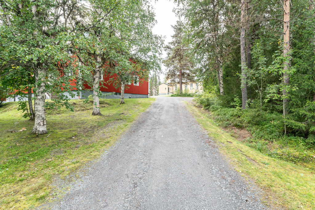 Gemensam väg till kyrkan