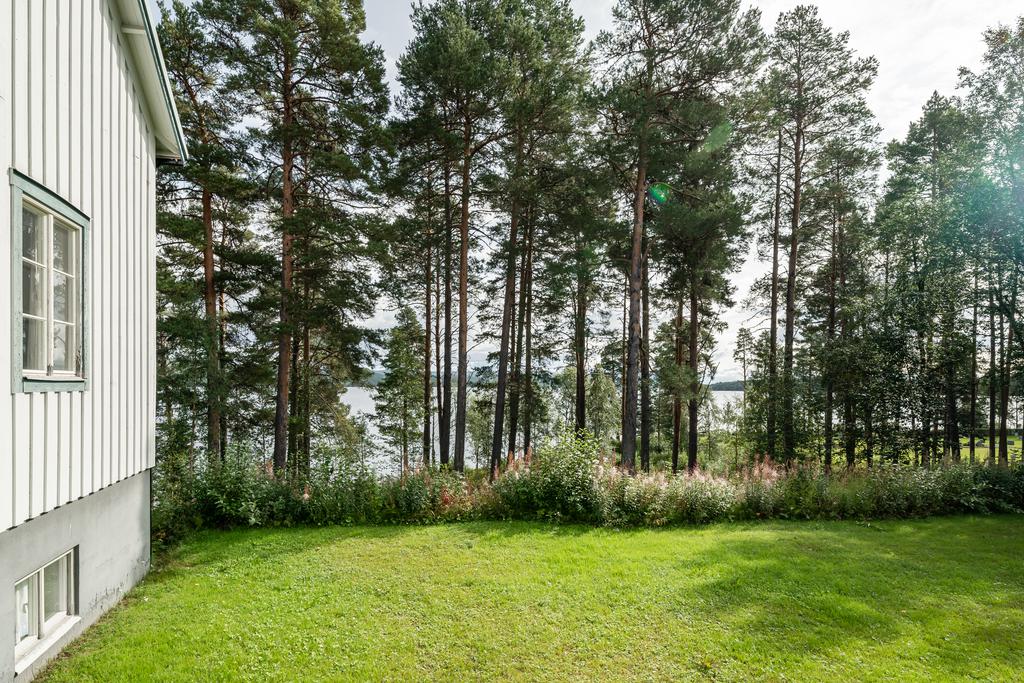 Rogivande, vacker omgivning