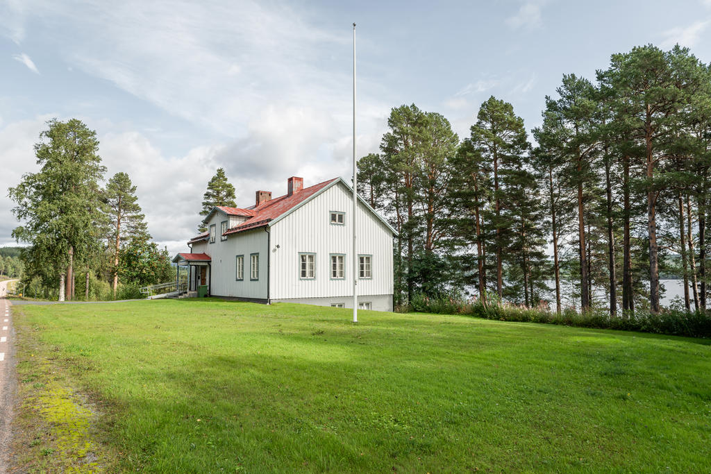 Sjön glittrar mellan tallarna.