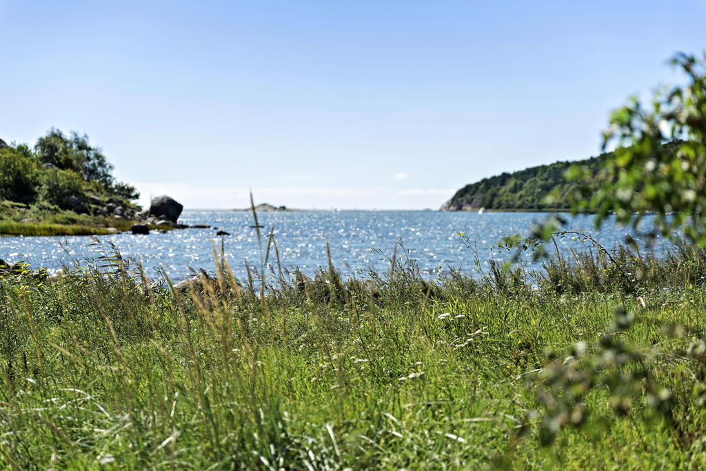 Askimsviken