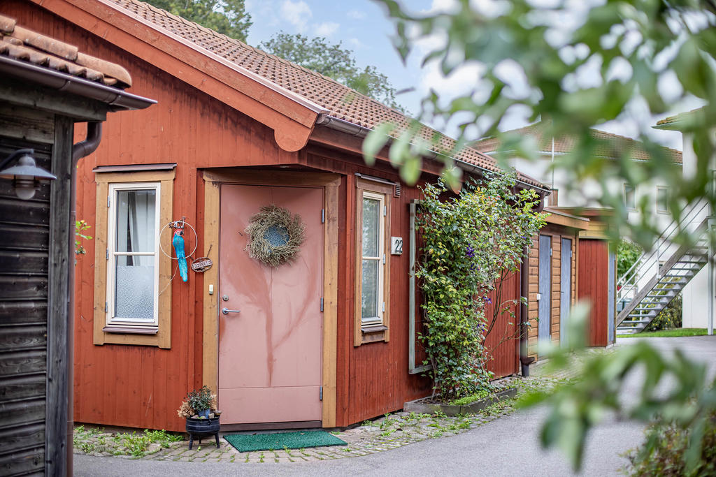 Exteriör