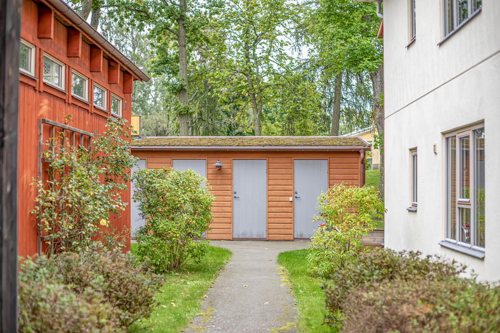 Exteriör