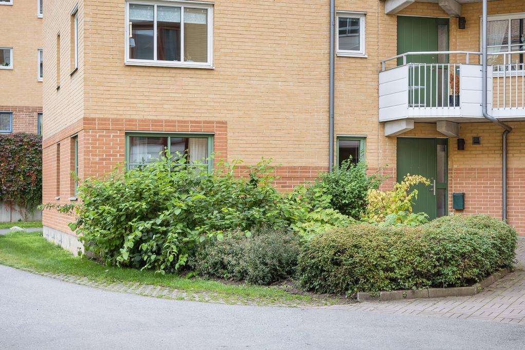 Gavelläge med fönster i tre vädersreck