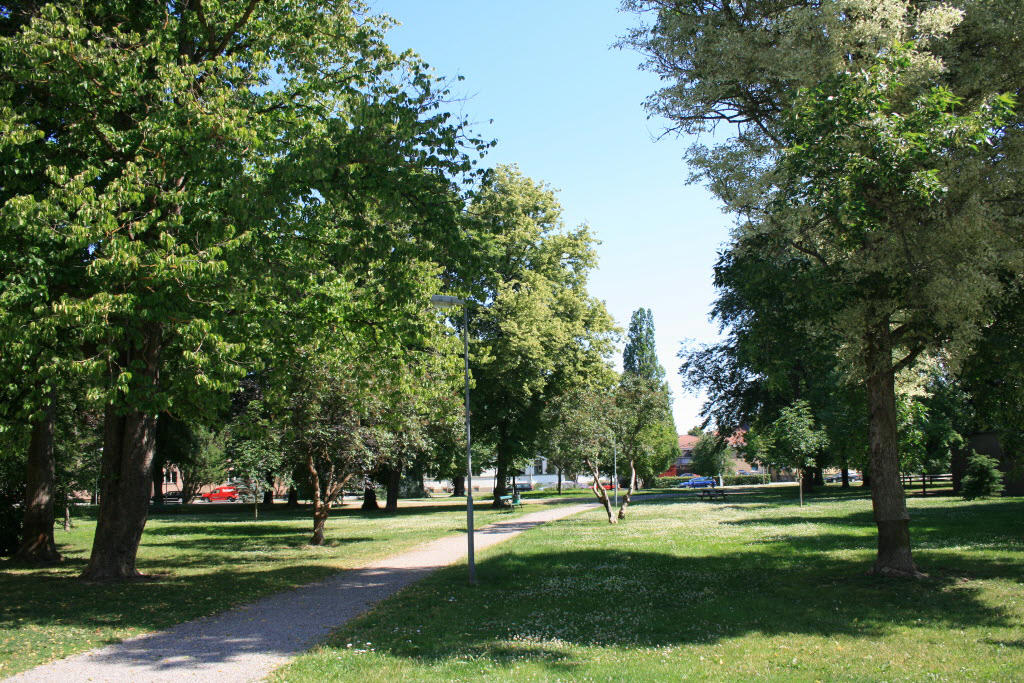 Eskilsparken sommar igen