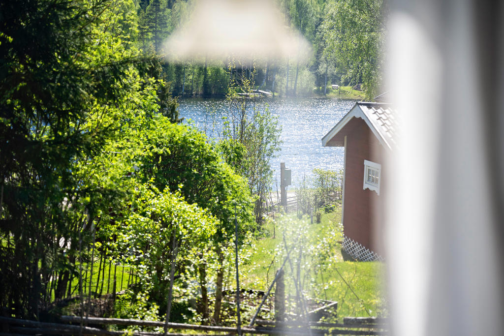 Sjöutsikt!