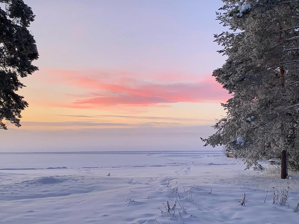 Säljarens privata bild